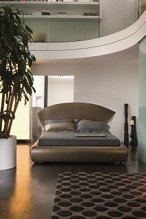 Cocoon 01